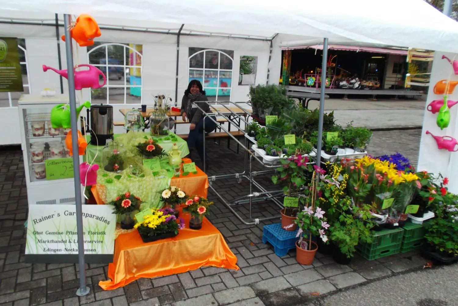 Kleine Pflanzen von Rainer`s Gartenparadies